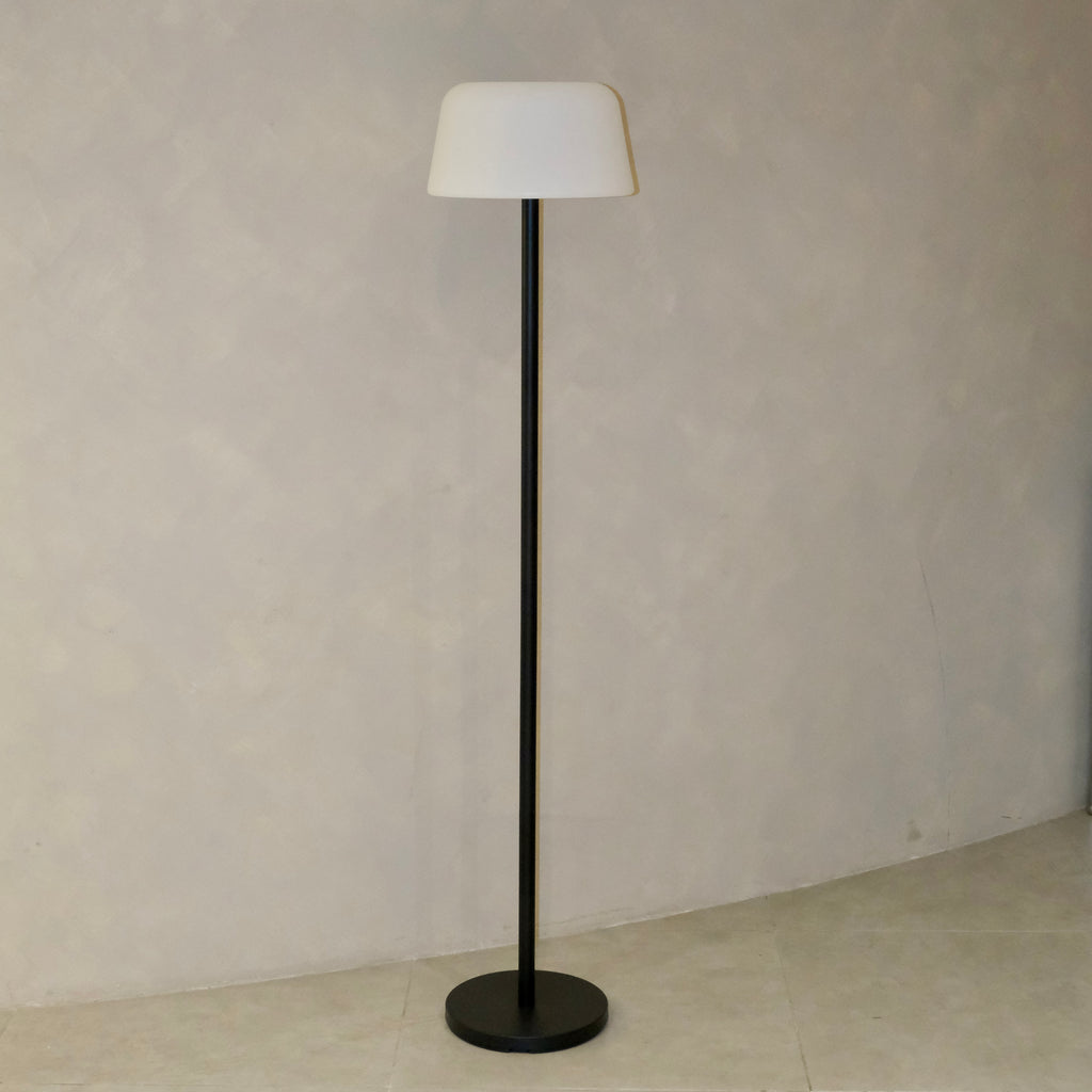 Troy Floor Lamp Black