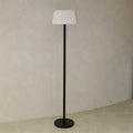 Troy Floor Lamp Black