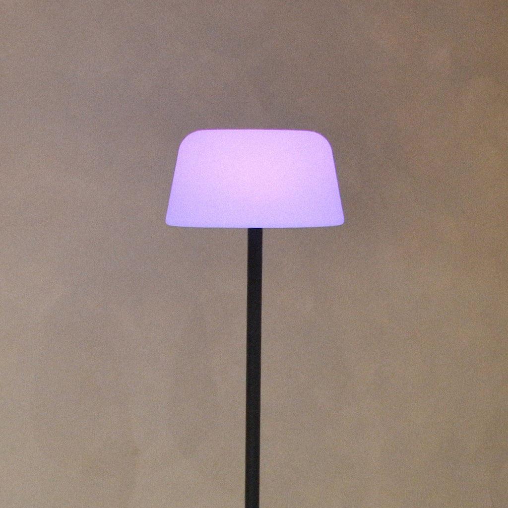 Troy Floor Lamp Black