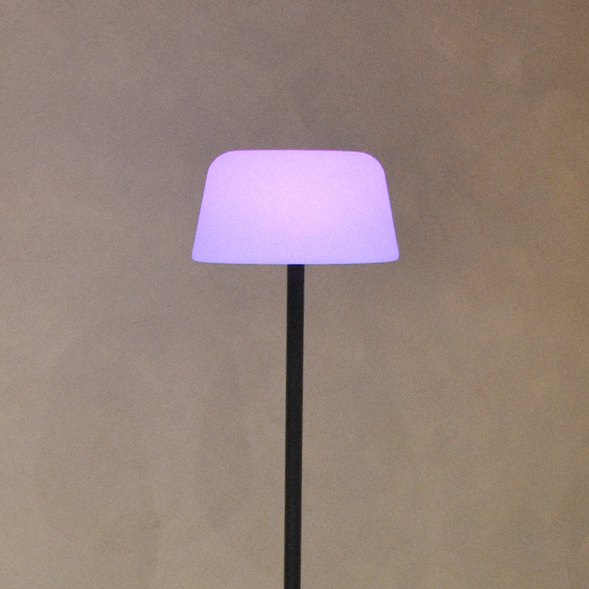 Troy Floor Lamp Black