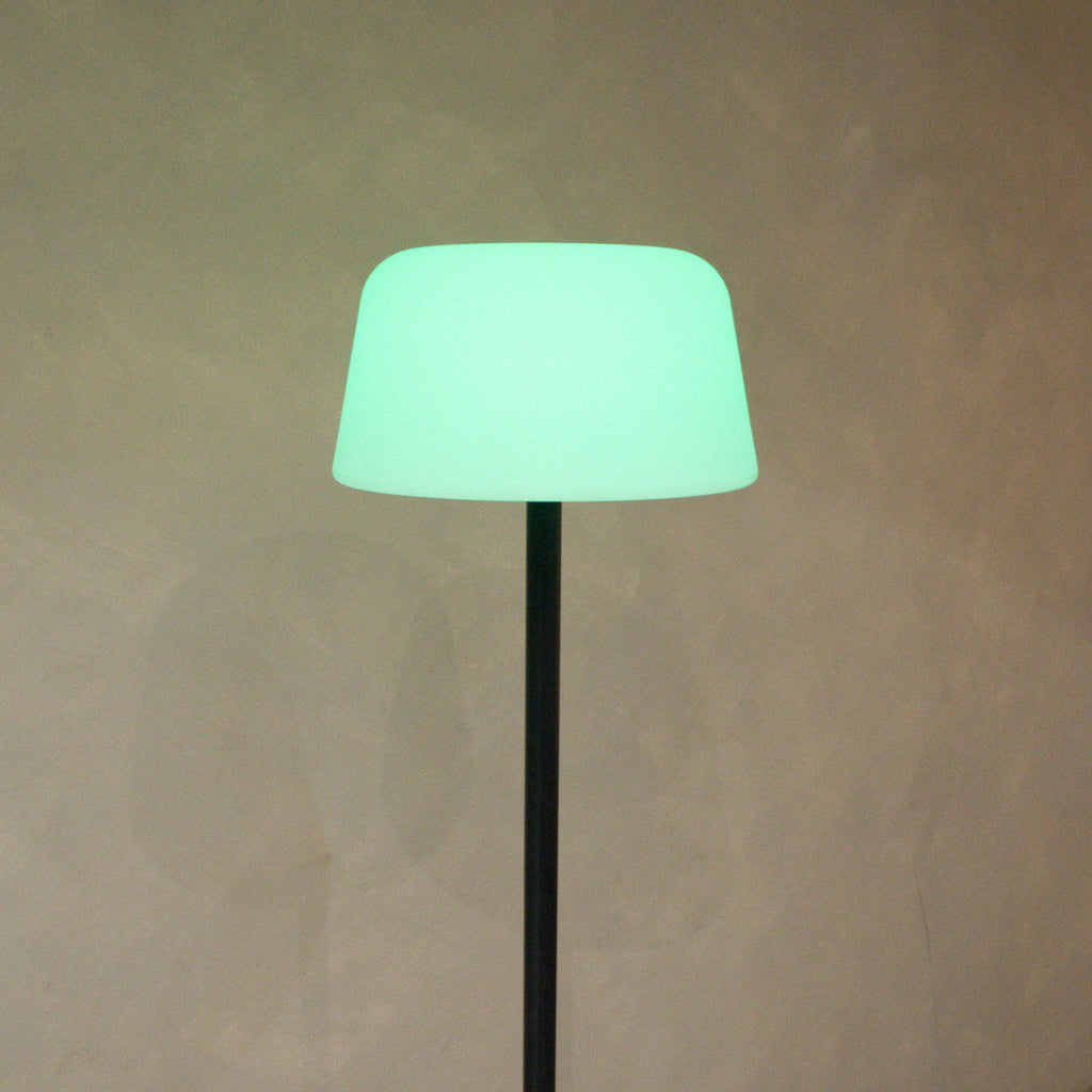 Troy Floor Lamp Black