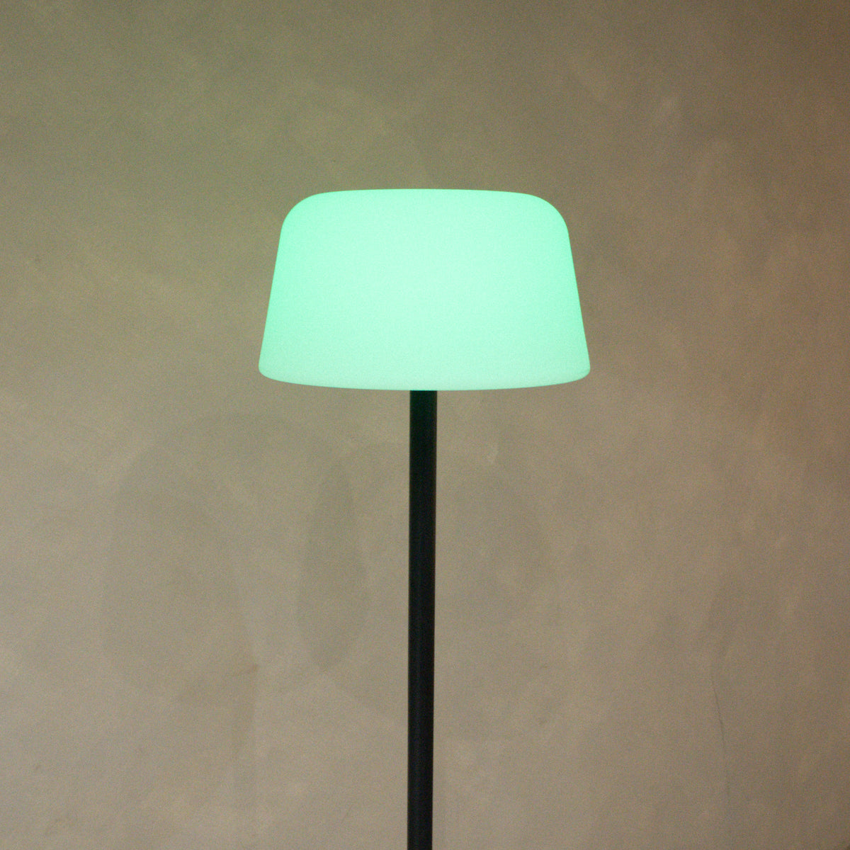 Troy Floor Lamp Black