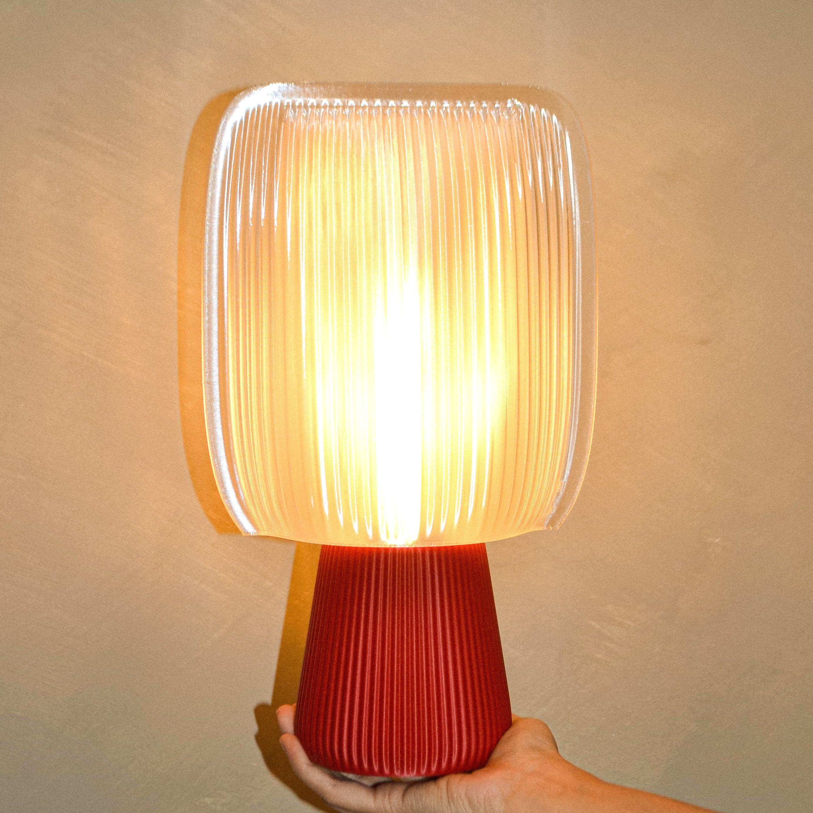 Paula 3D Printed Lamp