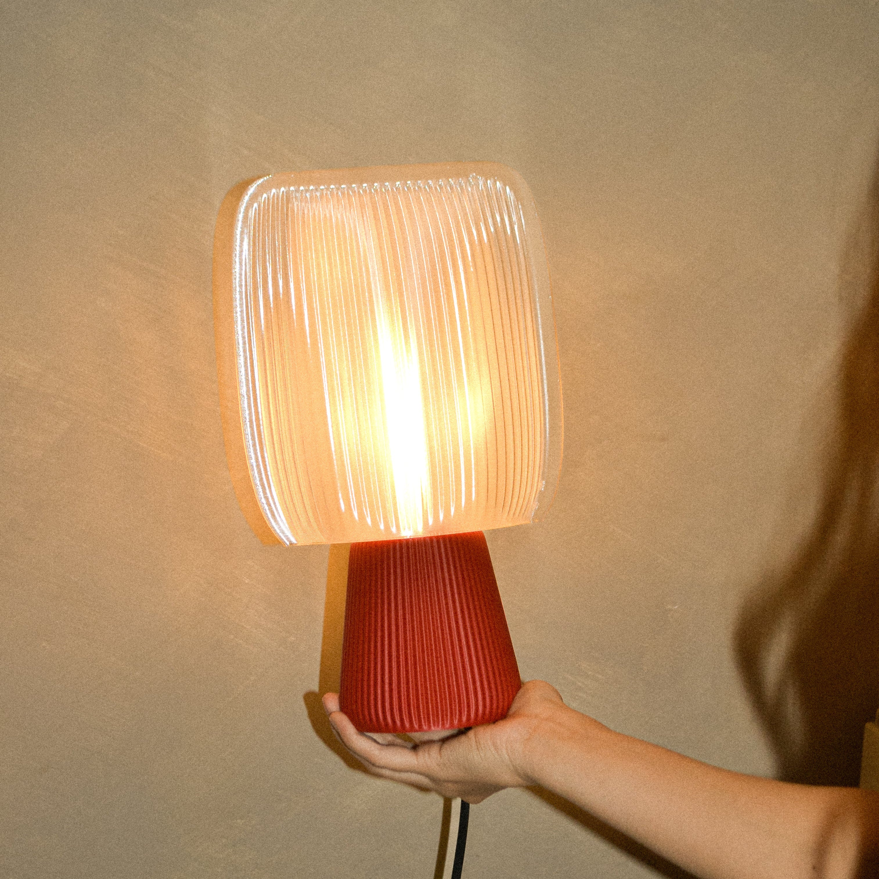 Paula 3D Printed Lamp